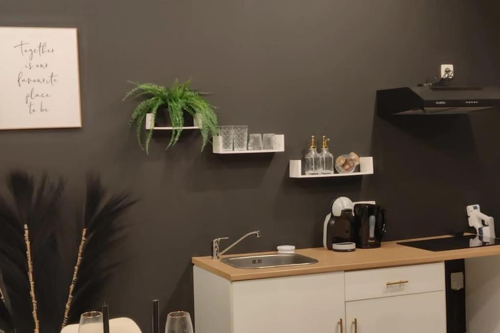 Logement Romantique Et Cosy ชาร์เลอรัว ภายนอก รูปภาพ