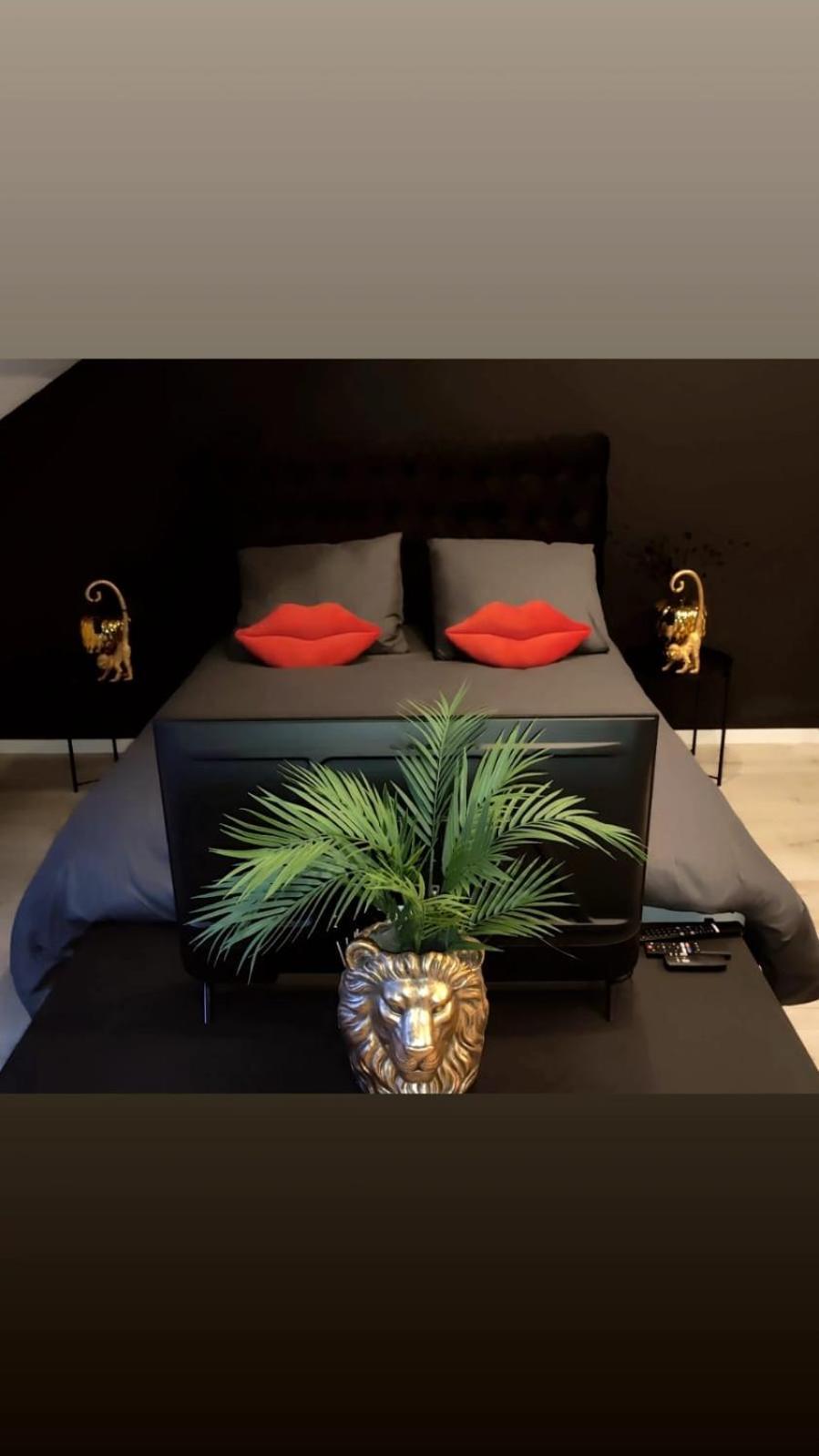 Logement Romantique Et Cosy ชาร์เลอรัว ภายนอก รูปภาพ
